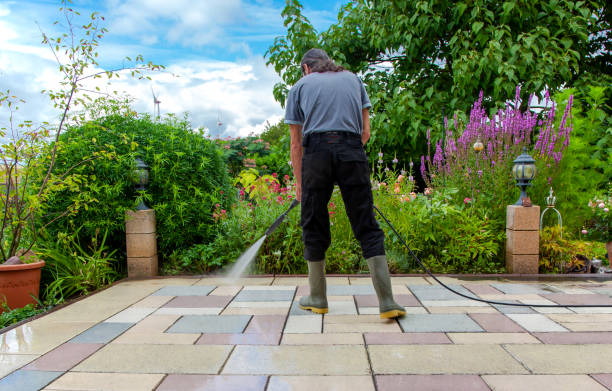Best Gutter Cleaning and Brightening in Centennial Park, AZ